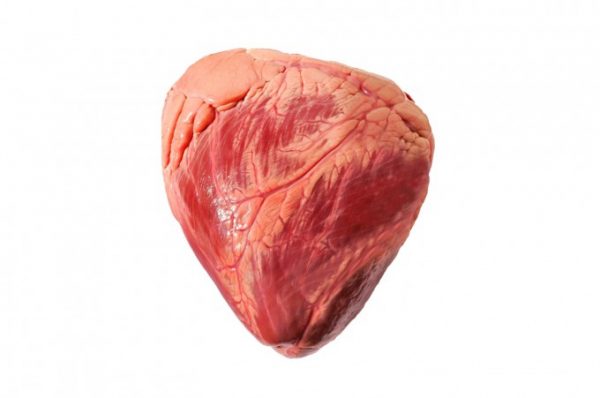 Frozen-Beef-Hearts-Sino dos Alpes