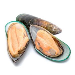 Green Shell Mussels